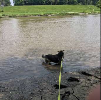 Image of Dike East Dog Park park in Fargo, North Dakota, United States Image of Dike East Dog Park park in fargo, north-dakota, united-states
