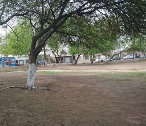 Image of Parque Publico Hacienda Del Bosque park in Mexicali, Baja California, Mexico Image of Parque Publico Hacienda Del Bosque park in mexicali, baja-california, mexico