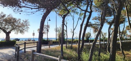 Image of Alba Adriatica Lungomare park in Alba Adriatica, Abruzzo, Italy Image of Alba Adriatica Lungomare park in alba-adriatica, abruzzo, italy