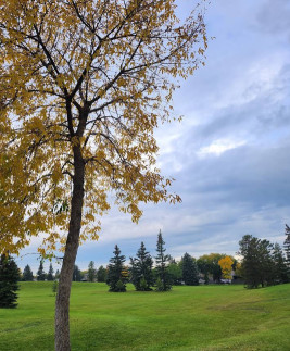 Image of Meyonohk Park park in Edmonton, Alberta, Canada Image of Meyonohk Park park in edmonton, alberta, canada