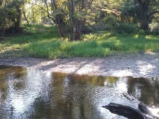 Image of William H. Houlton Conservation Area park in Elk River, Minnesota, United States Image of William H. Houlton Conservation Area park in elk-river, minnesota, united-states