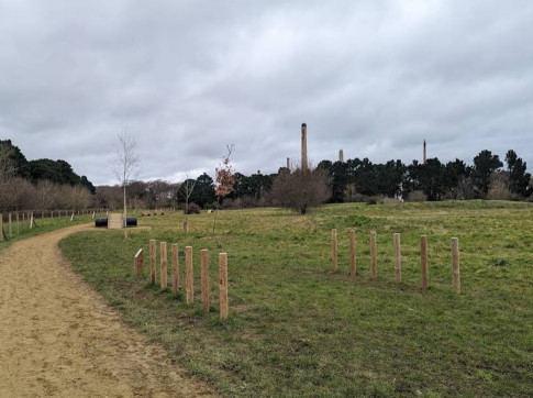 Image of Dog Activity Trail park in New Forest, England, United Kingdom Image of Dog Activity Trail park in new-forest, england, united-kingdom