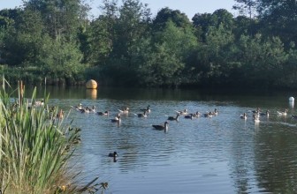 Image of Lakeside Country Park park in Eastleigh, England, United Kingdom Image of Lakeside Country Park park in eastleigh, england, united-kingdom