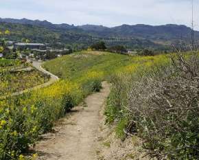 Image of Westlake Village Community Park park in Westlake Village, California, United States Image of Westlake Village Community Park park in westlake-village, california, united-states