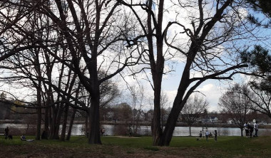 Image of Sheehy Memorial Park park in Lowell, Massachusetts, United States Image of Sheehy Memorial Park park in lowell, massachusetts, united-states
