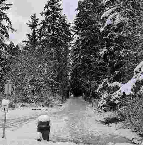 Image of Strawberry Park park in Bainbridge Island, Washington, United States Image of Strawberry Park park in bainbridge-island, washington, united-states