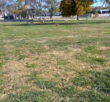 Image of Ashland Dog Park park in Ashland, California, United States Image of Ashland Dog Park park in ashland, california, united-states