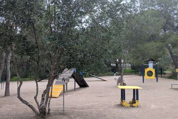 Image of Agility para perros, Parc Pinada Ramón de Navarrete park in L'Eliana, Valencia, Spain Image of Agility para perros, Parc Pinada Ramón de Navarrete park in leliana, valencia, spain