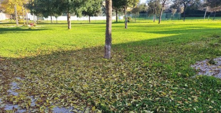 Image of Parco Toronto park in Sannicandro di Bari, Puglia, Italy Image of Parco Toronto park in sannicandro-di-bari, puglia, italy