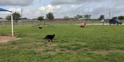 Image of Independence Dog Park park in Pearland, Texas, United States Image of Independence Dog Park park in pearland, texas, united-states