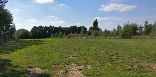 Image of Hondenlosloopgebied park in Ulestraten, Limburg, Netherlands Image of Hondenlosloopgebied park in ulestraten, limburg, netherlands