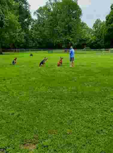 Image of South Park park in Denham Springs, Louisiana, United States Image of South Park park in denham-springs, louisiana, united-states