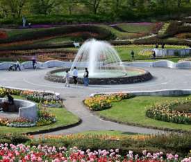 国営みちのく杜の湖畔公園 Dog Park in Kawasaki | Re