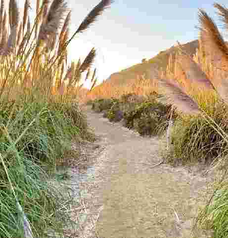 Image of Pacifica Quarry Running Trail park in Pacifica, California, United States Image of Pacifica Quarry Running Trail park in pacifica, california, united-states