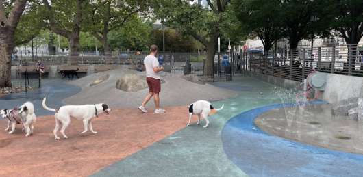 Image of Chelsea Waterside Dog Park park in new-york, new-york, united-states