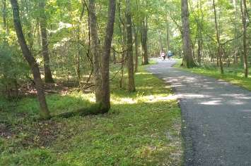Image of Wannamaker Park North Charleston SC park in North Charleston, South Carolina, United States Image of Wannamaker Park North Charleston SC park in north-charleston, south-carolina, united-states