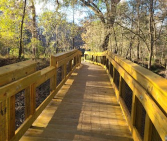 Image of Suwannee River State Park park in Live Oak, California, United States Image of Suwannee River State Park park in live-oak, california, united-states