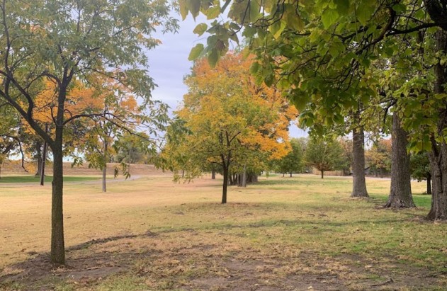 Image of Carey Park park in Hutchinson, Kansas, United States Image of Carey Park park in hutchinson, kansas, united-states