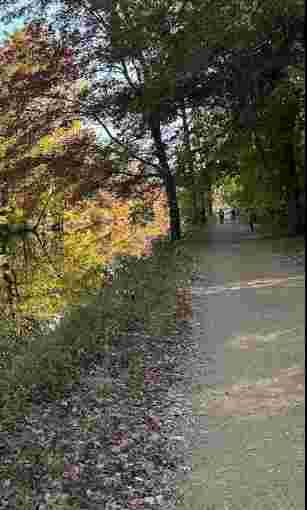 Image of Delaware & Raritan Canal State Park Trail - Kingston park in Princeton, Illinois, United States Image of Delaware & Raritan Canal State Park Trail - Kingston park in princeton, illinois, united-states