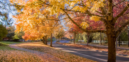 Image of SW Sunset Blvd Residential Pathways park in Sherwood, Arkansas, United States Image of SW Sunset Blvd Residential Pathways park in sherwood, arkansas, united-states