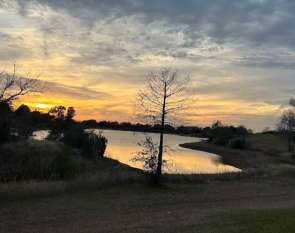 Image of Tom Bass Regional Park & Dog Park park in Pearland, Texas, United States Image of Tom Bass Regional Park & Dog Park park in pearland, texas, united-states