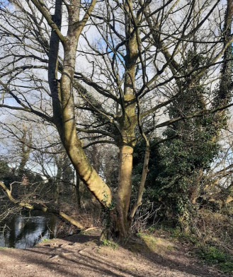 Image of The Towers park in Borough of Wyre, England, United Kingdom Image of The Towers park in borough-of-wyre, england, united-kingdom