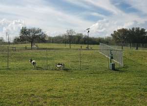 Image of Z Bonz Dog Park park in Fort Worth, Texas, United States Image of Z Bonz Dog Park park in fort-worth, texas, united-states