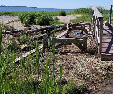 Image of Long Wharf Nature Preserve park in New Haven, Connecticut, United States Image of Long Wharf Nature Preserve park in new-haven, connecticut, united-states