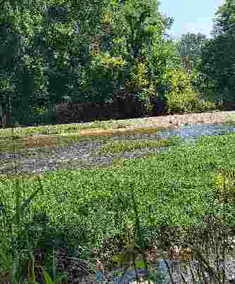 Image of Sugar Creek Nature Park park in Crawfordsville, Indiana, United States Image of Sugar Creek Nature Park park in crawfordsville, indiana, united-states