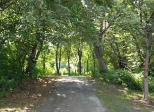 Image of Tree's Edge Park park in Blaine, Minnesota, United States Image of Tree's Edge Park park in blaine, minnesota, united-states