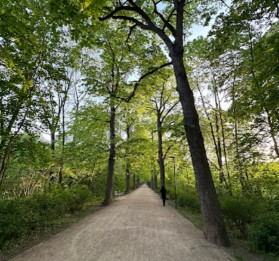 Image of Luisenpark Erfurt park in Erfurt, Thuringia, Germany Image of Luisenpark Erfurt park in erfurt, thuringia, germany