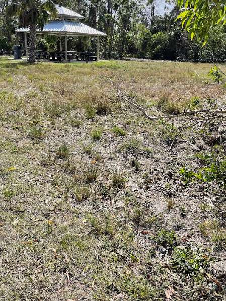 Image of Gator Trails Park park in Cape Coral, Florida, United States Image of Gator Trails Park park in cape-coral, florida, united-states