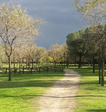 Image of Parque Cerro Almodóvar park in Madrid, Madrid, Spain Image of Parque Cerro Almodóvar park in madrid, madrid, spain