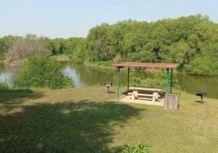 Image of Trophy Club Park Sycamore Tree park in Roanoke, Alabama, United States Image of Trophy Club Park Sycamore Tree park in roanoke, alabama, united-states