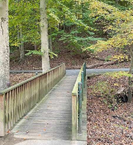 Image of Glencarlyn Park park in Arlington, Massachusetts, United States Image of Glencarlyn Park park in arlington, massachusetts, united-states