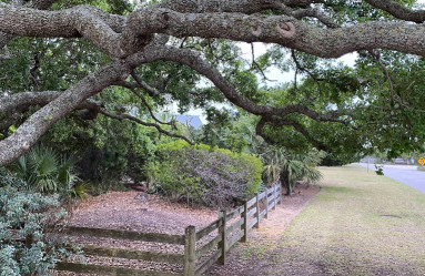 Image of Pawleys Island Nature Park park in Pawleys Island, South Carolina, United States Image of Pawleys Island Nature Park park in pawleys-island, south-carolina, united-states