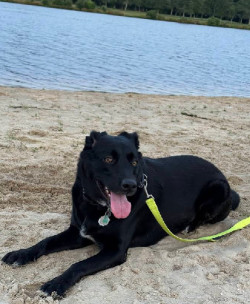 Image of Ocean Acres Lake Park park in Stafford Township, New Jersey, United States Image of Ocean Acres Lake Park park in Stafford Township, New Jersey, United States