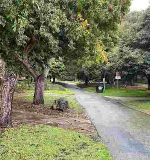 Image of Mosta Grove park in Millbrae, California, United States Image of Mosta Grove park in millbrae, california, united-states