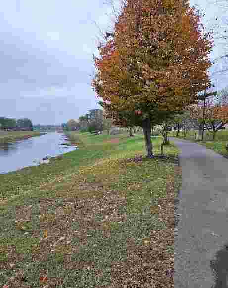 Image of Sevierville Greenway park in Sevierville, Tennessee, United States Image of Sevierville Greenway park in sevierville, tennessee, united-states