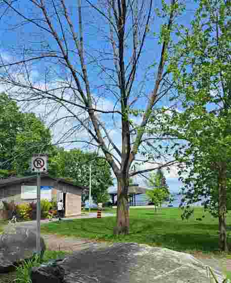 Image of Arnprior Beach park in Arnprior, Ontario, Canada Image of Arnprior Beach park in arnprior, ontario, canada
