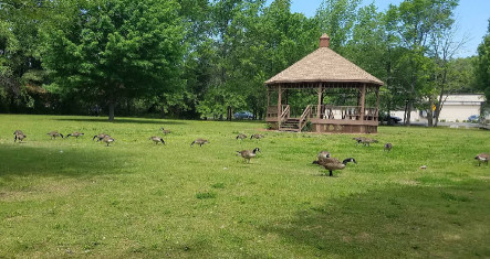 Image of Raymond J. Martin Riverside Park park in Methuen, Massachusetts, United States Image of Raymond J. Martin Riverside Park park in methuen, massachusetts, united-states