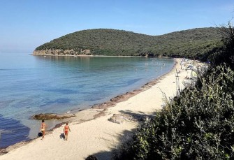 Image of Il percorso di Cala Violina park in Puntone di Scarlino, Tuscany, Italy Image of Il percorso di Cala Violina park in puntone-di-scarlino, tuscany, italy