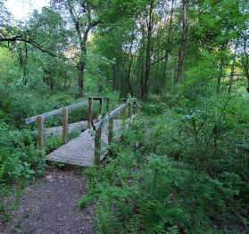 Image of Scantic River State Park East park in Enfield, Connecticut, United States Image of Scantic River State Park East park in enfield, connecticut, united-states