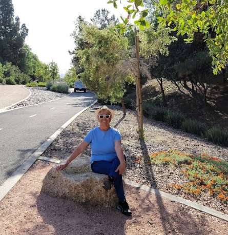 Image of The Tracks at Brea Trail Segment 2 park in Brea, California, United States Image of The Tracks at Brea Trail Segment 2 park in brea, california, united-states