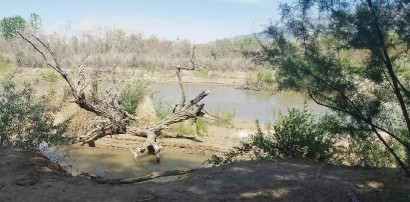 Image of Rio Rancho/Corrales Bosque Preserve park in Corrales, New Mexico, United States Image of Rio Rancho/Corrales Bosque Preserve park in corrales, new-mexico, united-states