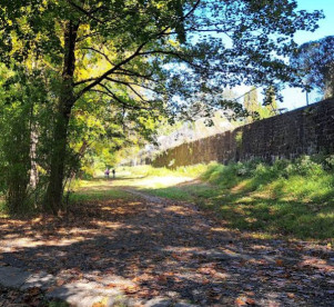 Image of Old Croton Aqueduct State Historic Park park in Dobbs Ferry, New York, United States Image of Old Croton Aqueduct State Historic Park park in dobbs-ferry, new-york, united-states