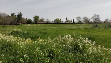 Image of Sierra Creek Park park in Antelope, California, United States Image of Sierra Creek Park park in antelope, california, united-states