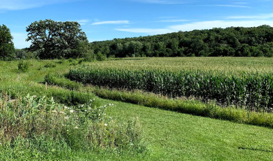 Image of Pop's Knoll park in Mount Horeb, Wisconsin, United States Image of Pop's Knoll park in mount-horeb, wisconsin, united-states