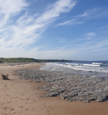 Image of Cocklawburn Beach park in Berwick-upon-Tweed, England, United Kingdom Image of Cocklawburn Beach park in berwick-upon-tweed, england, united-kingdom
