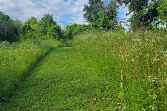 Image of Peach Hill Park park in Poughkeepsie, New York, United States Image of Peach Hill Park park in poughkeepsie, new-york, united-states